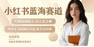 小红书蓝海赛道,圈中高端职场人,月入无上限,可矩阵,内含私域实操教程!-知一资源网