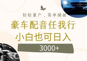 不为人知的暴力小项目,豪车配音,日入几张【揭秘】-知一资源网