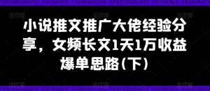 小说推文推广大佬经验分享,女频长文1天1万收益爆单思路(下)-知一资源网