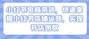 小红书电商带货,快速掌握小红书店铺运营,实现开店创收-知一资源网