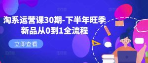 淘系运营课30期-下半年旺季新品从0到1全流程-知一资源网