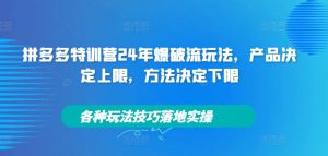 拼多多特训营24年爆破流玩法,产品决定上限,方法决定下限,各种玩法技巧落地实操-知一资源网