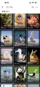 动物科普解说项目，撸创作者伙伴计划收益，保姆级实战教程-知一资源网