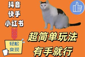 超简单玩法,有手就行,靠猫咪视频日入500+【揭秘】-知一资源网