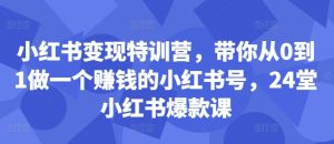 小红书变现特训营,带你从0到1做一个赚钱的小红书号,24堂小红书爆款课-知一资源网