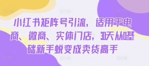 小红书矩阵号引流,适用于电商、微商、实体门店,30天从0基础新手蜕变成卖货高手-知一资源网