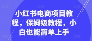 小红书电商项目教程,保姆级教程,小白也能简单上手-知一资源网