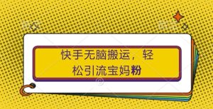 快手无脑搬运,轻松引流宝妈粉,纯小白轻松上手【揭秘】-知一资源网