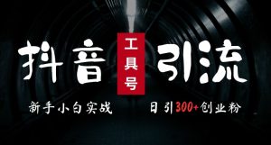 2024最新抖音工具号引流玩法,高效日引300+创业粉,当天变现5k,小白也可成为实战高手-知一资源网