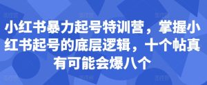 小红书暴力起号特训营,掌握小红书起号的底层逻辑,十个帖真有可能会爆八个-知一资源网