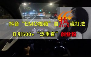 抖音EMO视频自热打法,日引500+“泛垂直”创业粉-知一资源网
