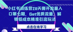 小红书训练营28天撕开流量入口第七期,Get优质流量,解锁低成本精准引流玩法-知一资源网