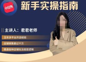 君君-小红书电商从入门到精通,新手实操指南-知一资源网