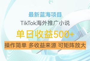 最新蓝海项目,利用tiktok海外推广小说赚钱佣金,简单易学,日入500+,可矩阵放大【揭秘】-知一资源网