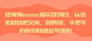 短视频meme猫实战项目,从选素材到把文案,到剪辑,手把手的教你快速起号涨粉-知一资源网
