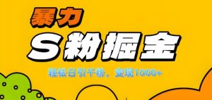 单人单机日引千粉，变现1k+，S粉流量掘金计划攻略【揭秘】-知一资源网