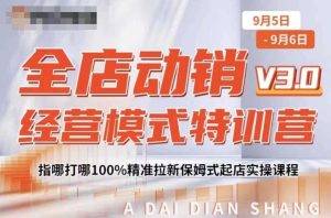 全店动销经营模式特训营,指哪打哪100%精准拉新保姆式起店实操课程-知一资源网