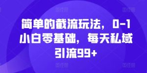 简单的截流玩法,0-1小白零基础,每天私域引流99+【揭秘】-知一资源网