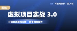 虚拟项目实战3.0,打造自动盈利店铺,可长期操作投入低,新手也能操作-知一资源网