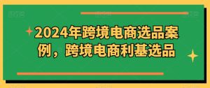 2024年跨境电商选品案例,跨境电商利基选品(更新11月)-知一资源网
