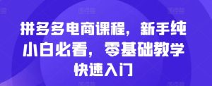 拼多多电商课程,新手纯小白必看,零基础教学快速入门-知一资源网