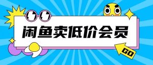 外面收费998的闲鱼低价充值会员搬砖玩法号称日入200+-知一资源网