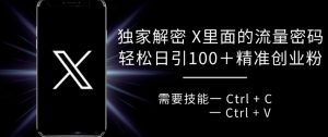 独家解密 X 里面的流量密码,复制粘贴轻松日引100+-知一资源网