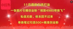 小红书11月最新图片打粉,一张图片引爆创业粉,“预算4980带我飞”,单条引流500+精准创业粉-知一资源网