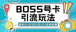Boss直聘流量卡引流变现玩法，日引200+创业粉【揭秘】-知一资源网