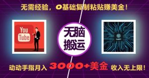 无需经验，0基础复制粘贴赚美刀，动动手指，月入3000+刀，无上限【揭秘】-知一资源网