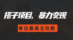 2024搭子玩法,0门槛,暴力变现,单日最高破四位数【揭秘】-知一资源网