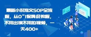 最新小说推文SOP全流程,从0~1保姆级教程,不用出镜不用拍视频,一天400+-知一资源网