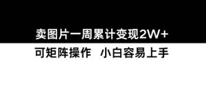 小红书【卖图片】一周累计变现2W+小白易上手-知一资源网