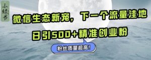 微信生态新宠小绿书:下一个流量洼地,日引500+精准创业粉,粉丝质量超高-知一资源网