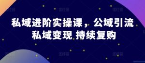 私域进阶实操课,公域引流 私域变现 持续复购-知一资源网