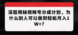 深层揭秘视频号分成计划,为什么别人可以做到轻松月入1W+?-知一资源网