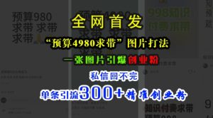 小红书“预算4980带我飞”图片打法,一张图片引爆创业粉,私信回不完,单条引流300+精准创业粉-知一资源网