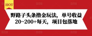 野路子头条撸金玩法,单号收益20~200+每天,项目包落地-知一资源网