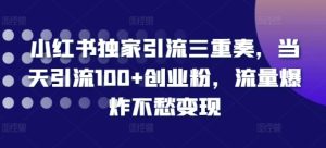 小红书独家引流三重奏,当天引流100+创业粉,流量爆炸不愁变现【揭秘】-知一资源网