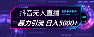 抖音快手视频号全平台通用无人直播引流法,利用图片模板和语音话术,暴力日引流100+创业粉【揭秘】-知一资源网