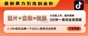 抖音最新暴力引流创业粉,3分钟一条创业类视频,24h轻松加爆一个500人精准创业粉群【揭秘】-知一资源网