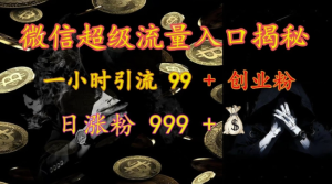 微信超级流量入口揭秘:一小时引流 99 + 创业粉,日涨粉 999 +-知一资源网