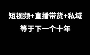 短视频+直播带货+私域等于下一个十年,大佬7年实战经验总结-知一资源网