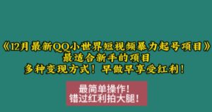12月最新QQ小世界短视频暴力起号项目,最适合新手的项目,多种变现方式-知一资源网