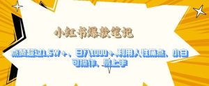 利用人性的痛点,打造爆款笔记,获得点赞超过1.5W+,日入1k【揭秘】-知一资源网