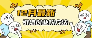 12月最新引流创业粉方法，方法非常简单，适用于多平台-知一资源网