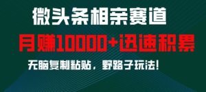 微头条相亲赛道,迅速积累,无脑复制粘贴,野路子玩法,月入1w-知一资源网