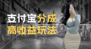 支付宝分成计划新玩法,利用交通事故视频,赚收益,轻松月入过W,操作简单【揭秘】-知一资源网