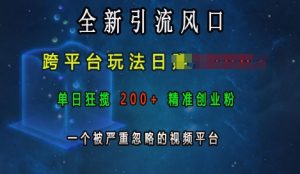 全新引流风口,跨平台玩法日入上k,单日狂揽200+精准创业粉,一个被严重忽略的视频平台-知一资源网