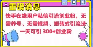 快手最新引流创业粉方法,无需养号、无需视频、搬砖式引流法【揭秘】-知一资源网